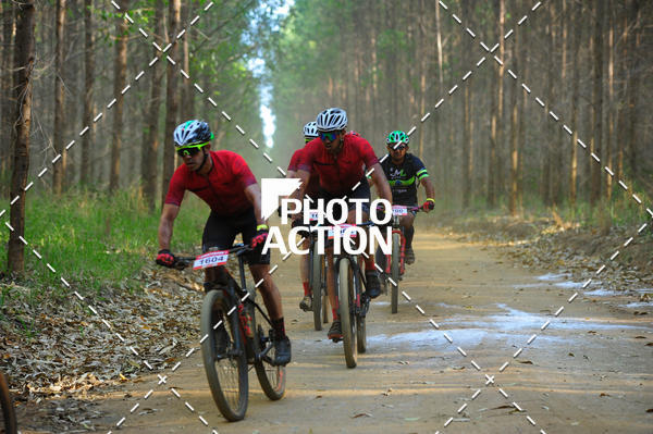 Buy your photos of the event16 Edio Maratona 100Km Canaviais on Fotop