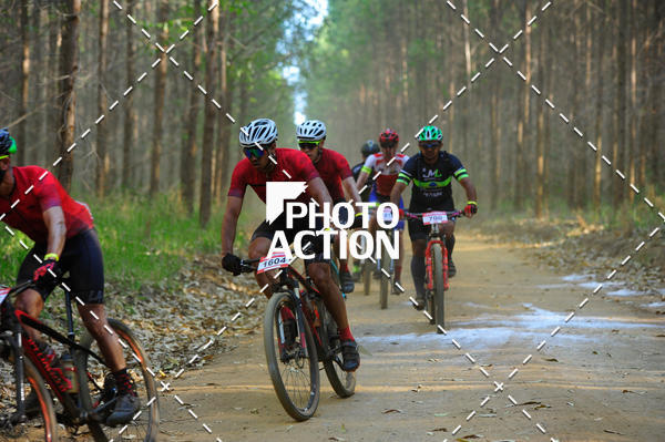 Buy your photos of the event16 Edio Maratona 100Km Canaviais on Fotop