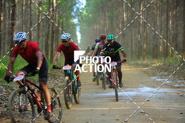 Buy your photos of the event16 Edio Maratona 100Km Canaviais on Fotop