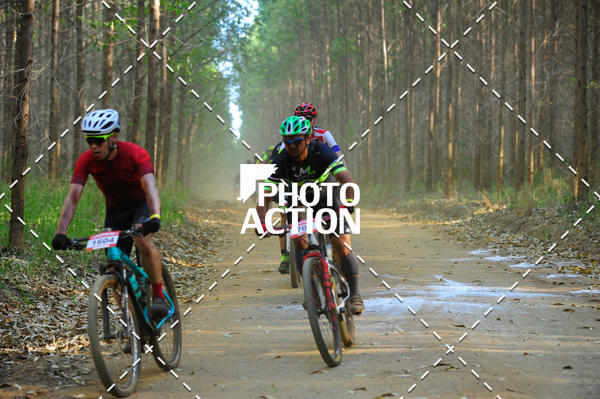 Buy your photos of the event16 Edio Maratona 100Km Canaviais on Fotop
