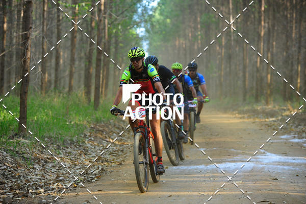 Buy your photos of the event16 Edio Maratona 100Km Canaviais on Fotop