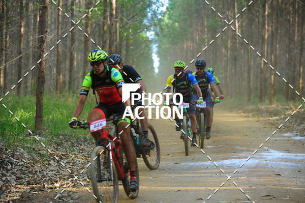 Buy your photos of the event16 Edio Maratona 100Km Canaviais on Fotop