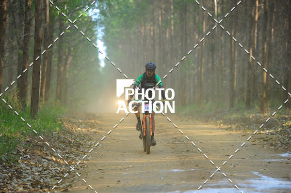 Buy your photos of the event16 Edio Maratona 100Km Canaviais on Fotop