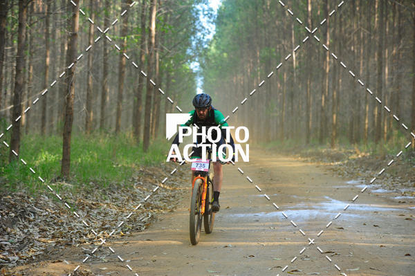 Buy your photos of the event16 Edio Maratona 100Km Canaviais on Fotop