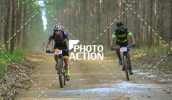 Buy your photos of the event16 Edio Maratona 100Km Canaviais on Fotop