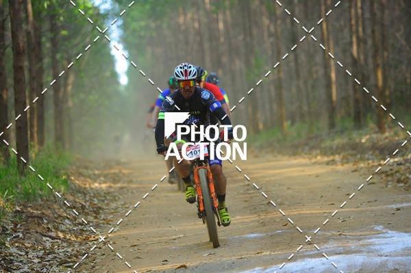 Buy your photos of the event16 Edio Maratona 100Km Canaviais on Fotop