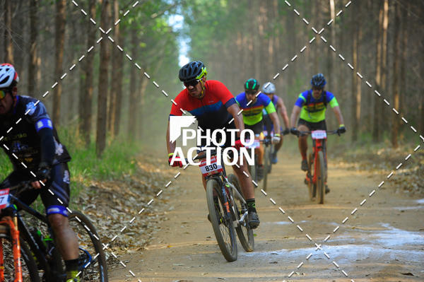 Buy your photos of the event16 Edio Maratona 100Km Canaviais on Fotop
