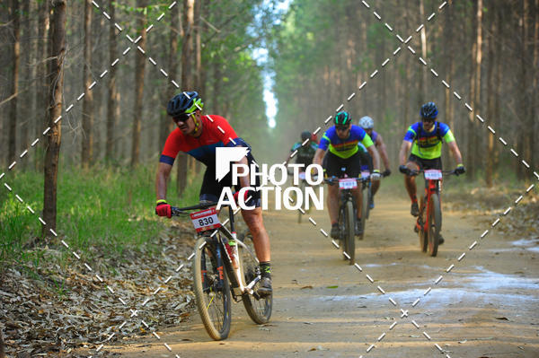 Buy your photos of the event16 Edio Maratona 100Km Canaviais on Fotop