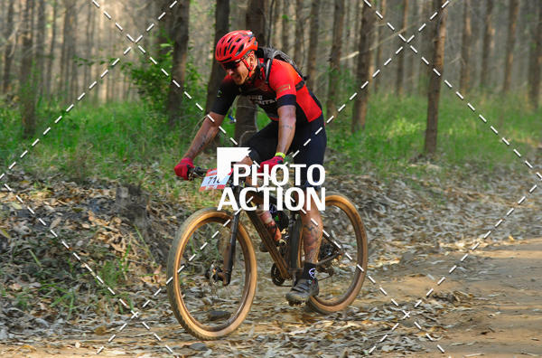 Buy your photos of the event16 Edio Maratona 100Km Canaviais on Fotop