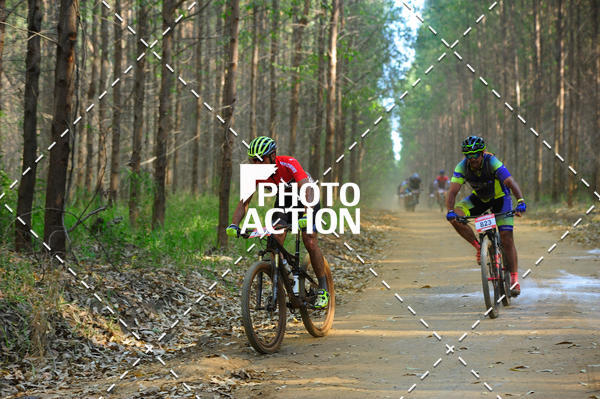 Buy your photos of the event16 Edio Maratona 100Km Canaviais on Fotop
