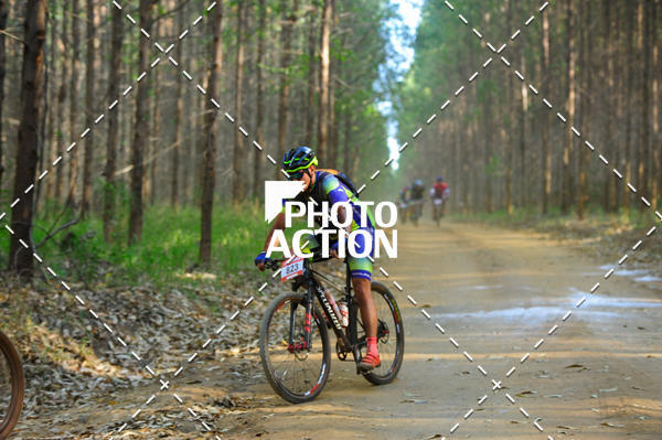 Buy your photos of the event16 Edio Maratona 100Km Canaviais on Fotop