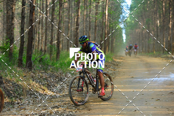 Buy your photos of the event16 Edio Maratona 100Km Canaviais on Fotop