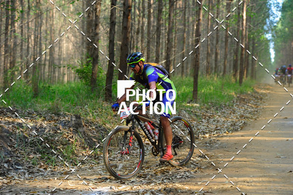 Buy your photos of the event16 Edio Maratona 100Km Canaviais on Fotop