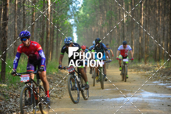 Buy your photos of the event16 Edio Maratona 100Km Canaviais on Fotop