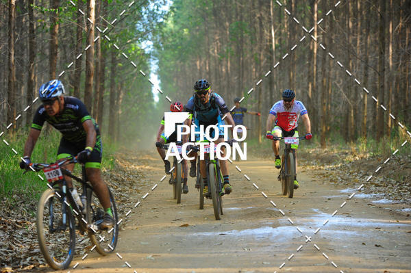 Buy your photos of the event16 Edio Maratona 100Km Canaviais on Fotop