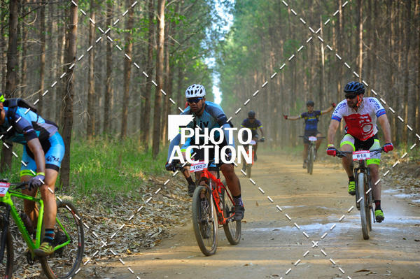 Buy your photos of the event16 Edio Maratona 100Km Canaviais on Fotop