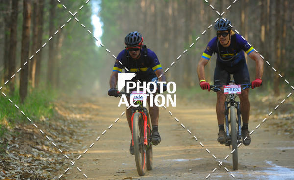 Buy your photos of the event16 Edio Maratona 100Km Canaviais on Fotop