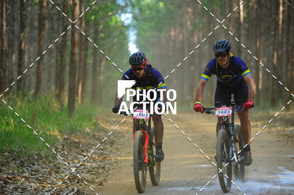 Buy your photos of the event16 Edio Maratona 100Km Canaviais on Fotop