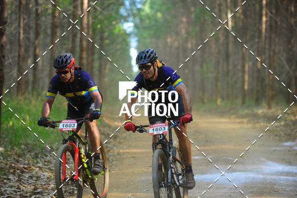 Buy your photos of the event16 Edio Maratona 100Km Canaviais on Fotop