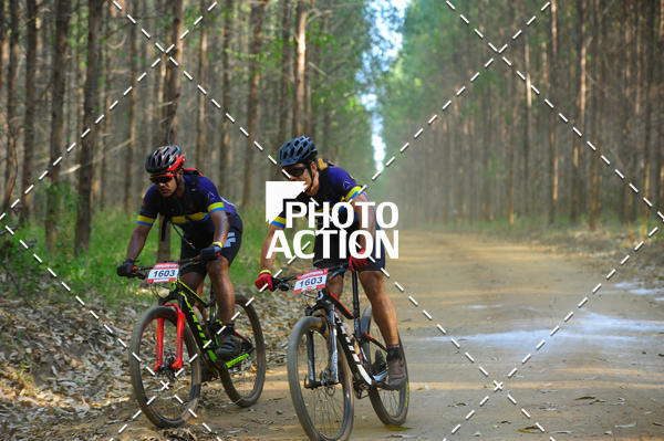 Buy your photos of the event16 Edio Maratona 100Km Canaviais on Fotop