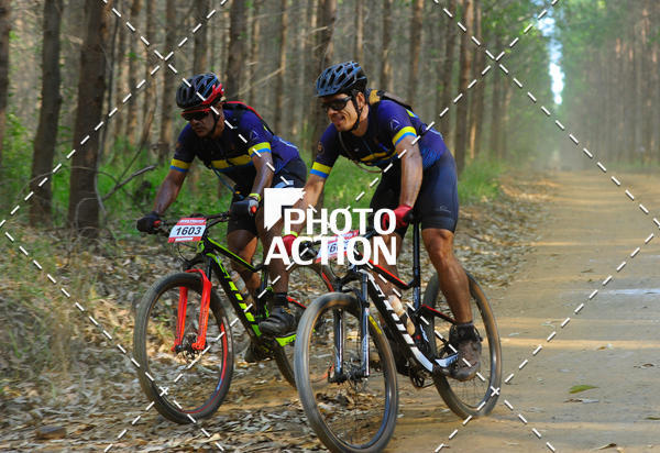 Buy your photos of the event16 Edio Maratona 100Km Canaviais on Fotop
