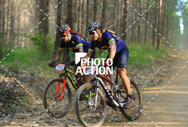 Buy your photos of the event16 Edio Maratona 100Km Canaviais on Fotop