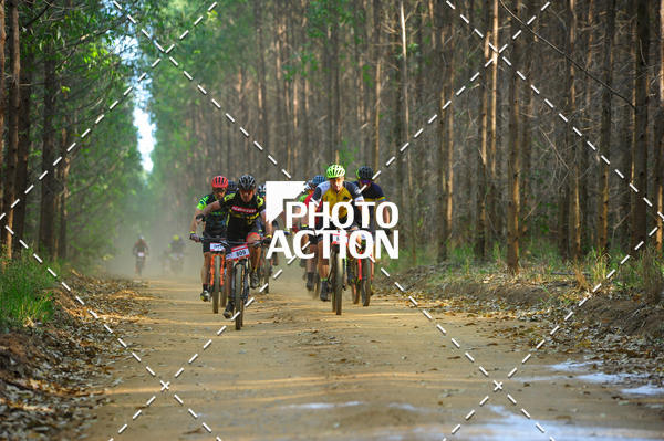 Buy your photos of the event16 Edio Maratona 100Km Canaviais on Fotop