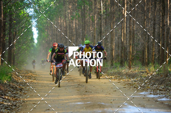 Buy your photos of the event16 Edio Maratona 100Km Canaviais on Fotop