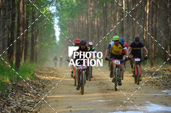 Buy your photos of the event16 Edio Maratona 100Km Canaviais on Fotop
