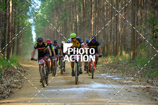 Buy your photos of the event16 Edio Maratona 100Km Canaviais on Fotop