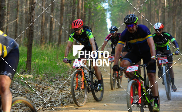 Buy your photos of the event16 Edio Maratona 100Km Canaviais on Fotop