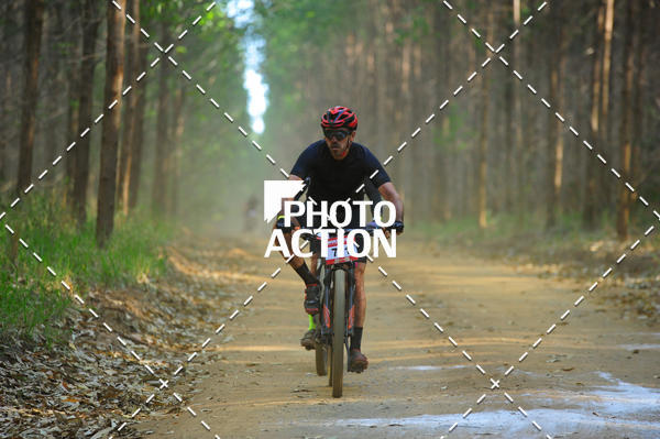 Buy your photos of the event16 Edio Maratona 100Km Canaviais on Fotop