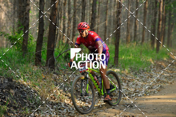 Buy your photos of the event16 Edio Maratona 100Km Canaviais on Fotop