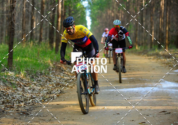 Buy your photos of the event16 Edio Maratona 100Km Canaviais on Fotop