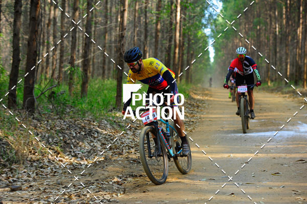 Buy your photos of the event16 Edio Maratona 100Km Canaviais on Fotop