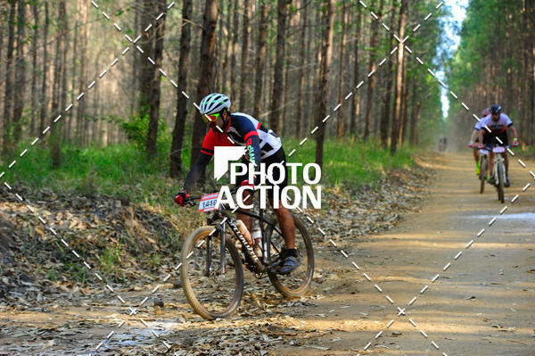 Buy your photos of the event16 Edio Maratona 100Km Canaviais on Fotop