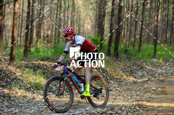 Buy your photos of the event16 Edio Maratona 100Km Canaviais on Fotop