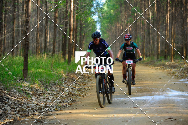 Buy your photos of the event16 Edio Maratona 100Km Canaviais on Fotop