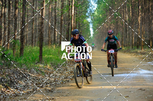 Buy your photos of the event16 Edio Maratona 100Km Canaviais on Fotop