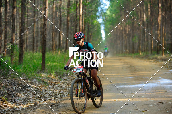 Buy your photos of the event16 Edio Maratona 100Km Canaviais on Fotop