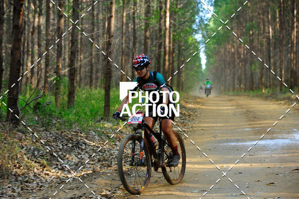 Buy your photos of the event16 Edio Maratona 100Km Canaviais on Fotop