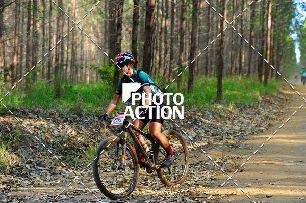 Buy your photos of the event16 Edio Maratona 100Km Canaviais on Fotop