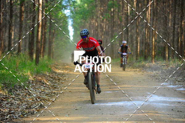 Buy your photos of the event16 Edio Maratona 100Km Canaviais on Fotop