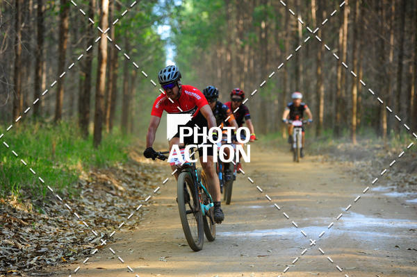 Buy your photos of the event16 Edio Maratona 100Km Canaviais on Fotop