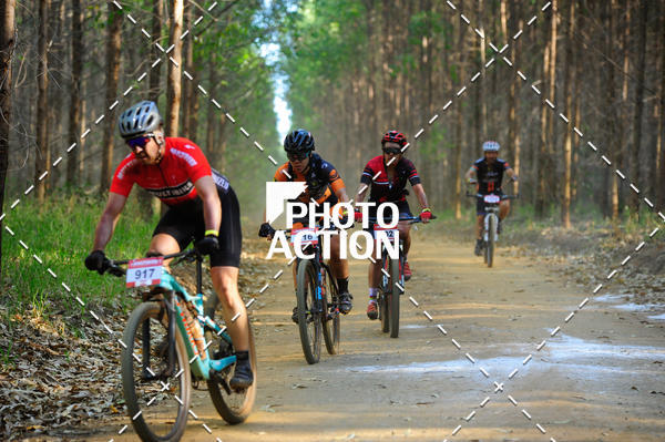 Buy your photos of the event16 Edio Maratona 100Km Canaviais on Fotop