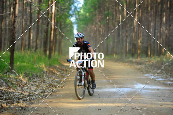 Buy your photos of the event16 Edio Maratona 100Km Canaviais on Fotop
