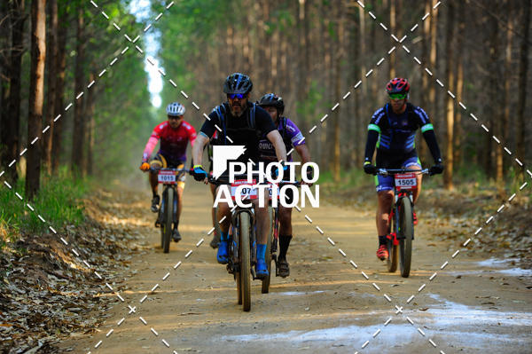 Buy your photos of the event16 Edio Maratona 100Km Canaviais on Fotop