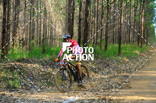 Buy your photos of the event16 Edio Maratona 100Km Canaviais on Fotop