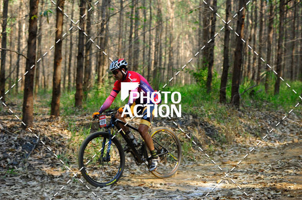 Buy your photos of the event16 Edio Maratona 100Km Canaviais on Fotop