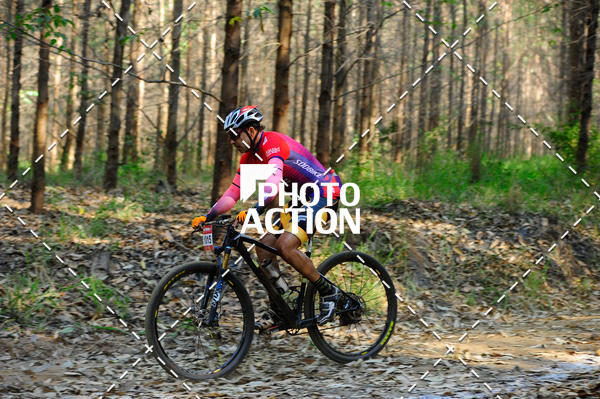 Buy your photos of the event16 Edio Maratona 100Km Canaviais on Fotop